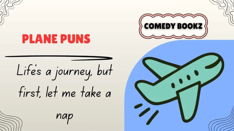 Plane Puns